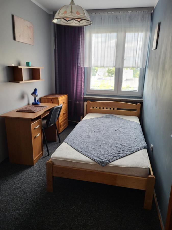Apartament Sosnowy Z Parkingiem Stary Toruń Extérieur photo
